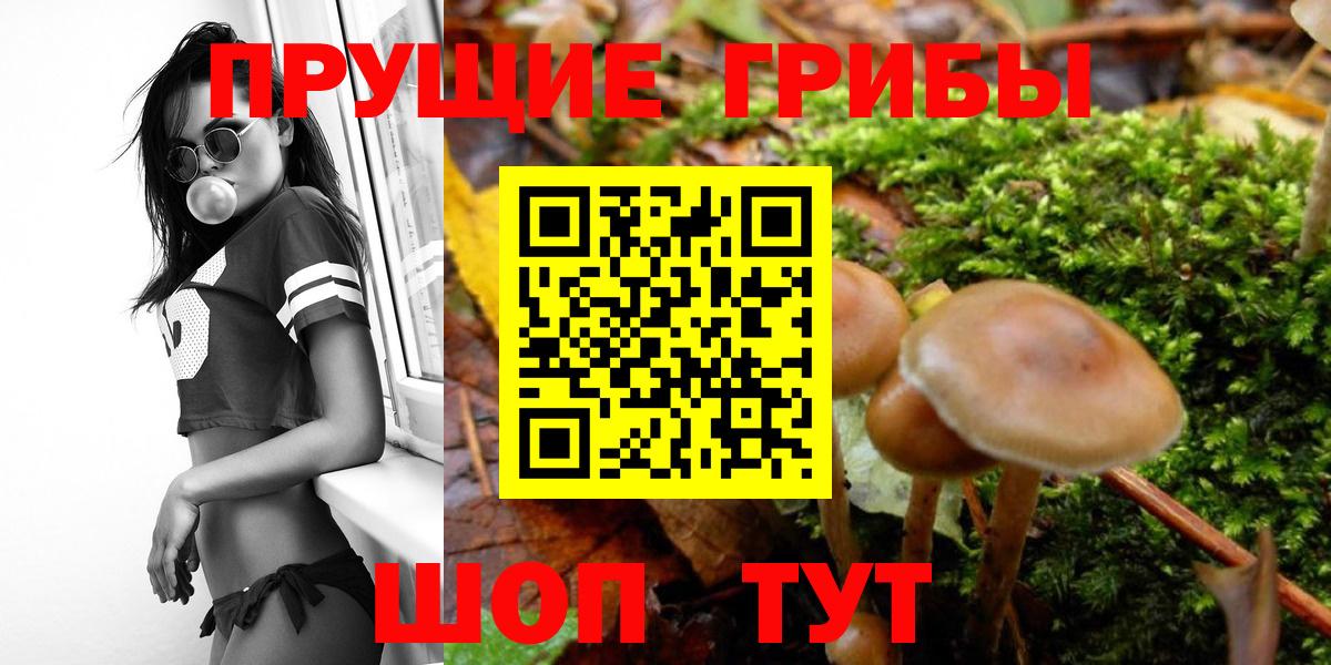 Галлюциногенные грибы ЛСД Кострома